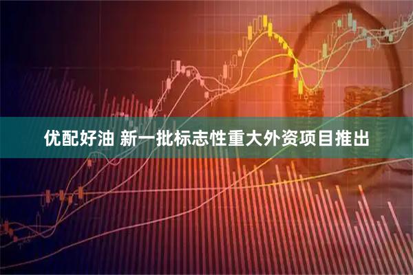 优配好油 新一批标志性重大外资项目推出