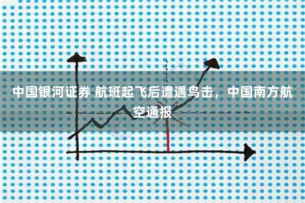 中国银河证券 航班起飞后遭遇鸟击，中国南方航空通报