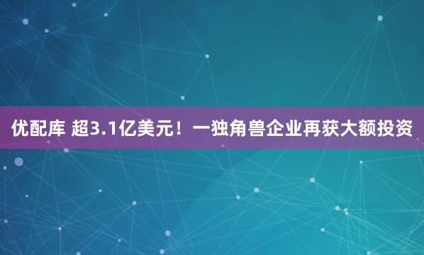 优配库 超3.1亿美元！一独角兽企业再获大额投资